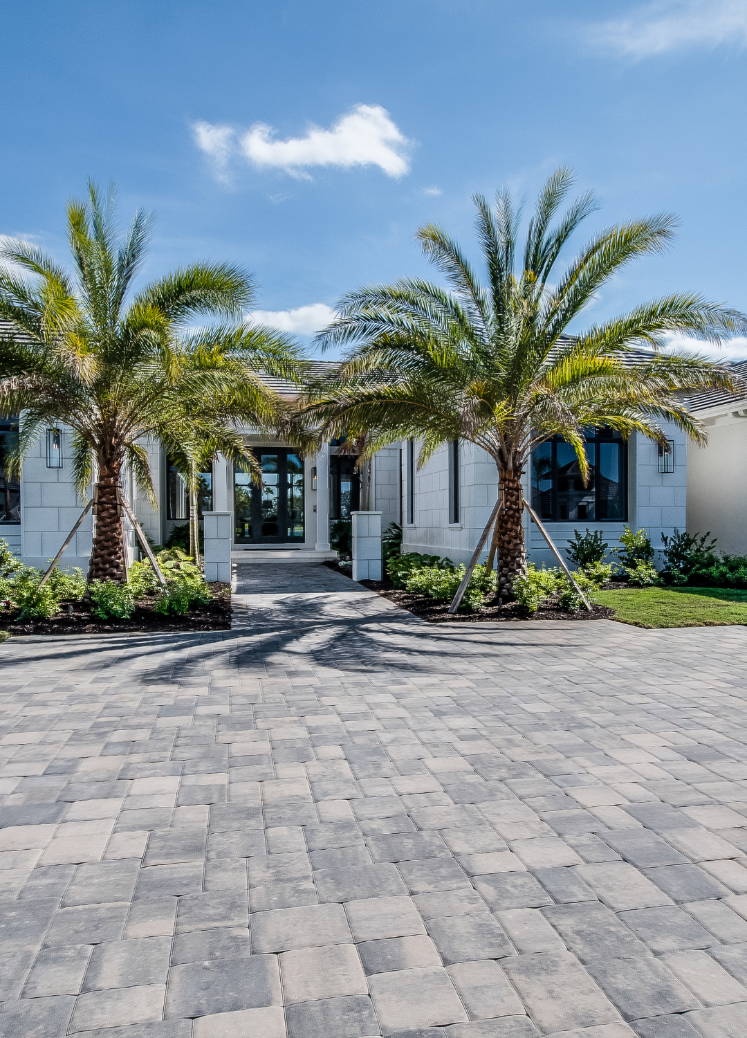 Untitled design (38)