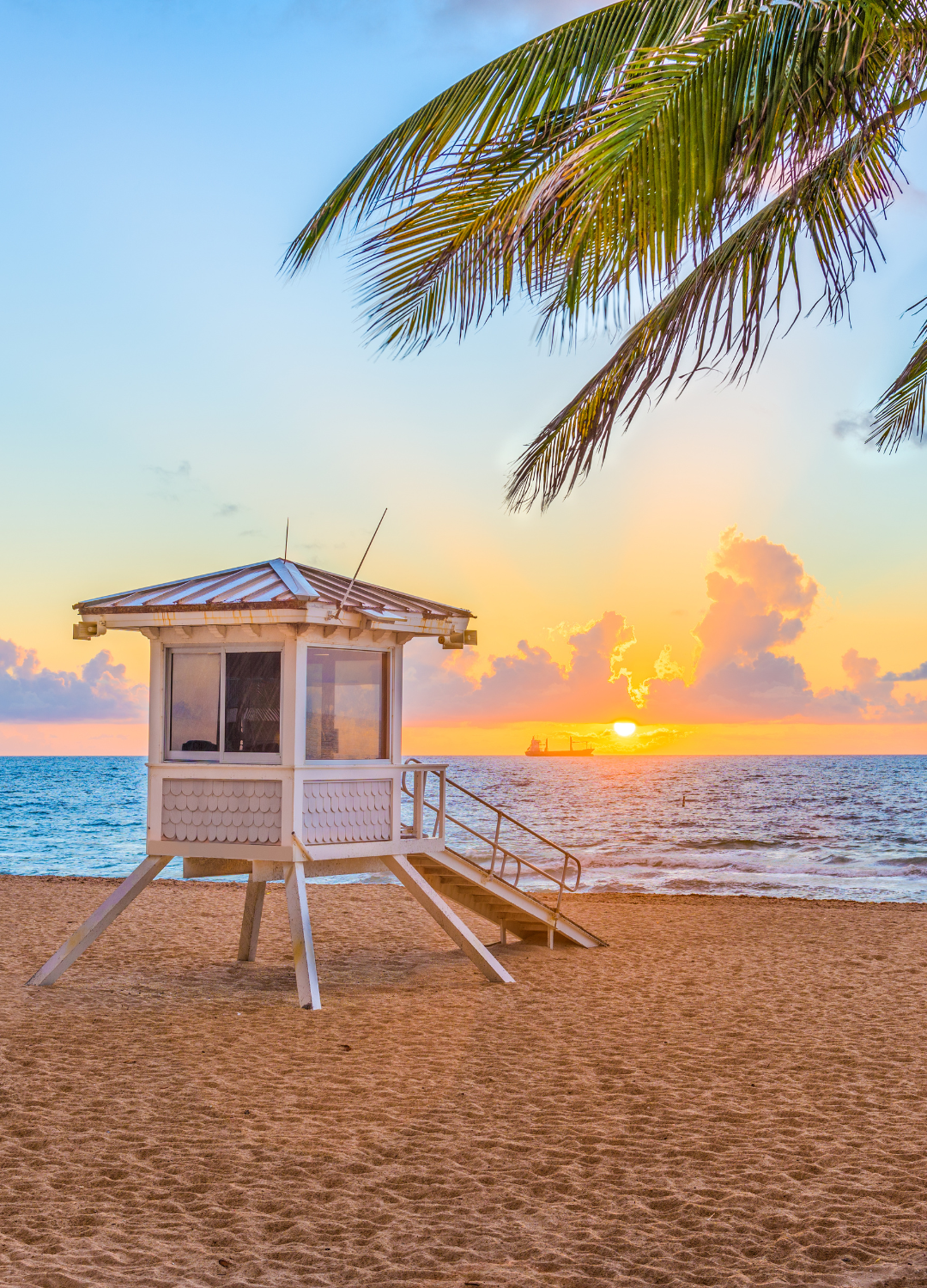 Untitled design (39)