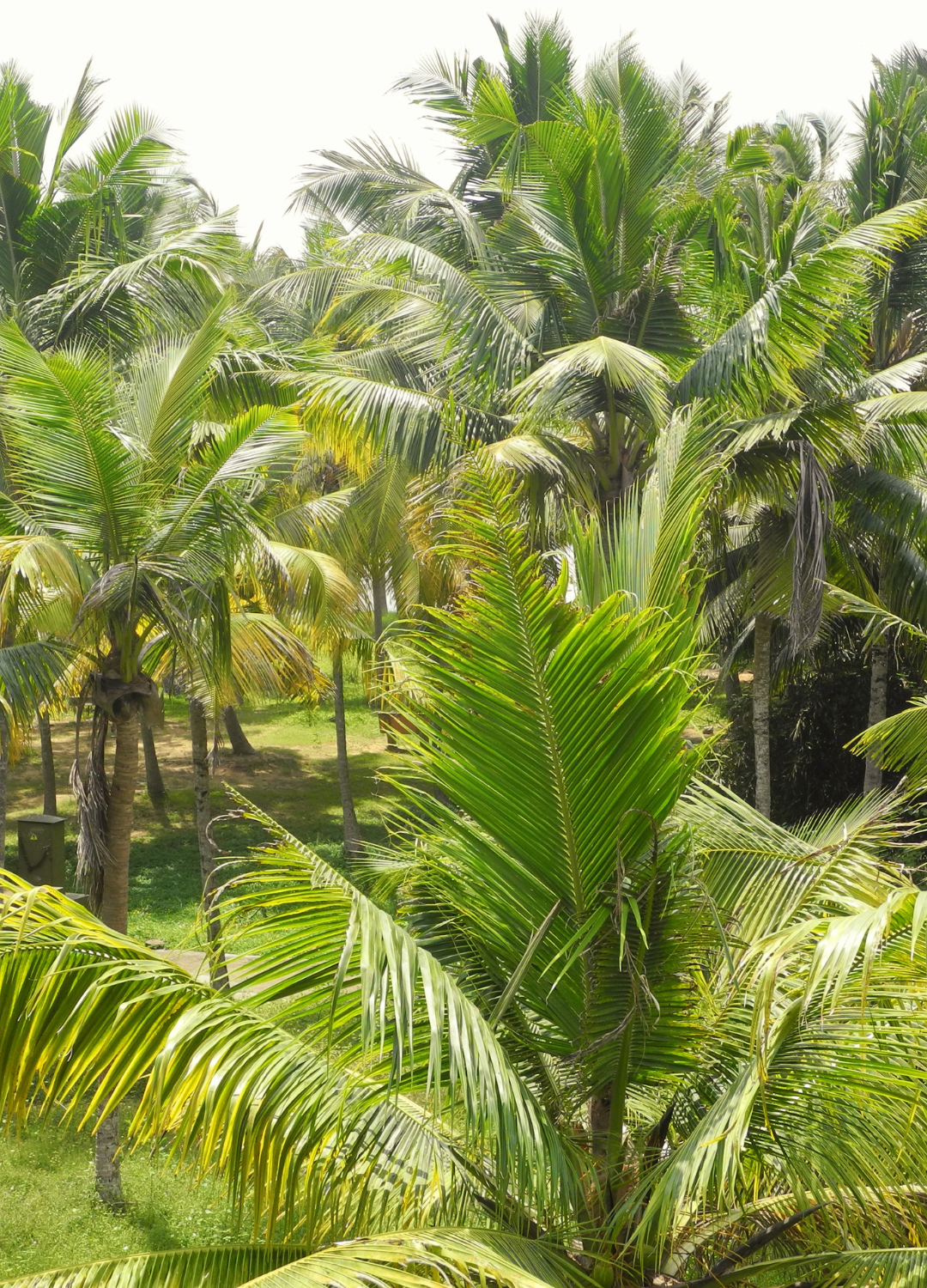 Untitled design (42)